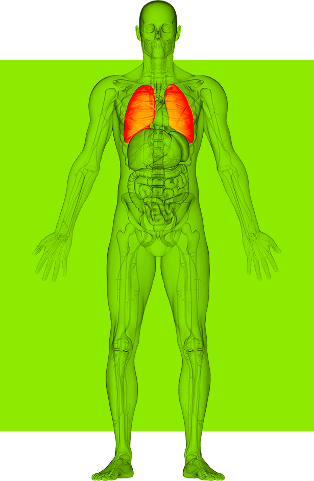 Os sinais e sintomas da Hipertensão Pulmonar Alt tag